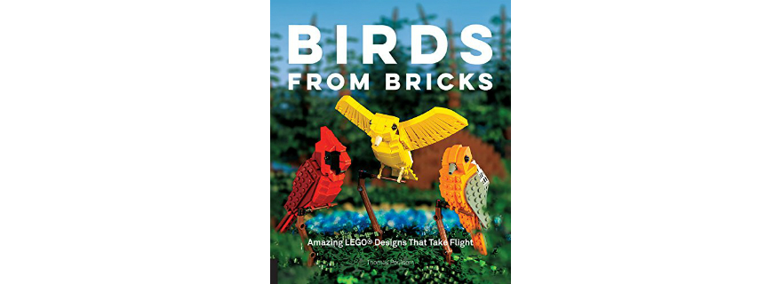 Birds from Bricks book coming in April