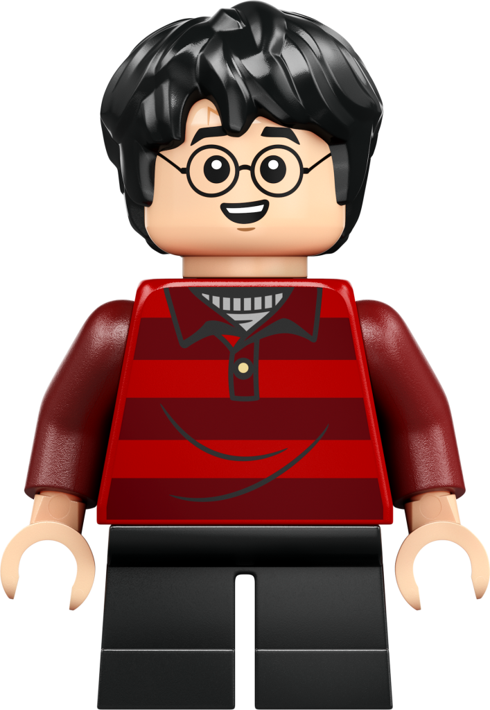LEGO Harry Potter 76437 The Burrow Collectors Edition 11 707x1024