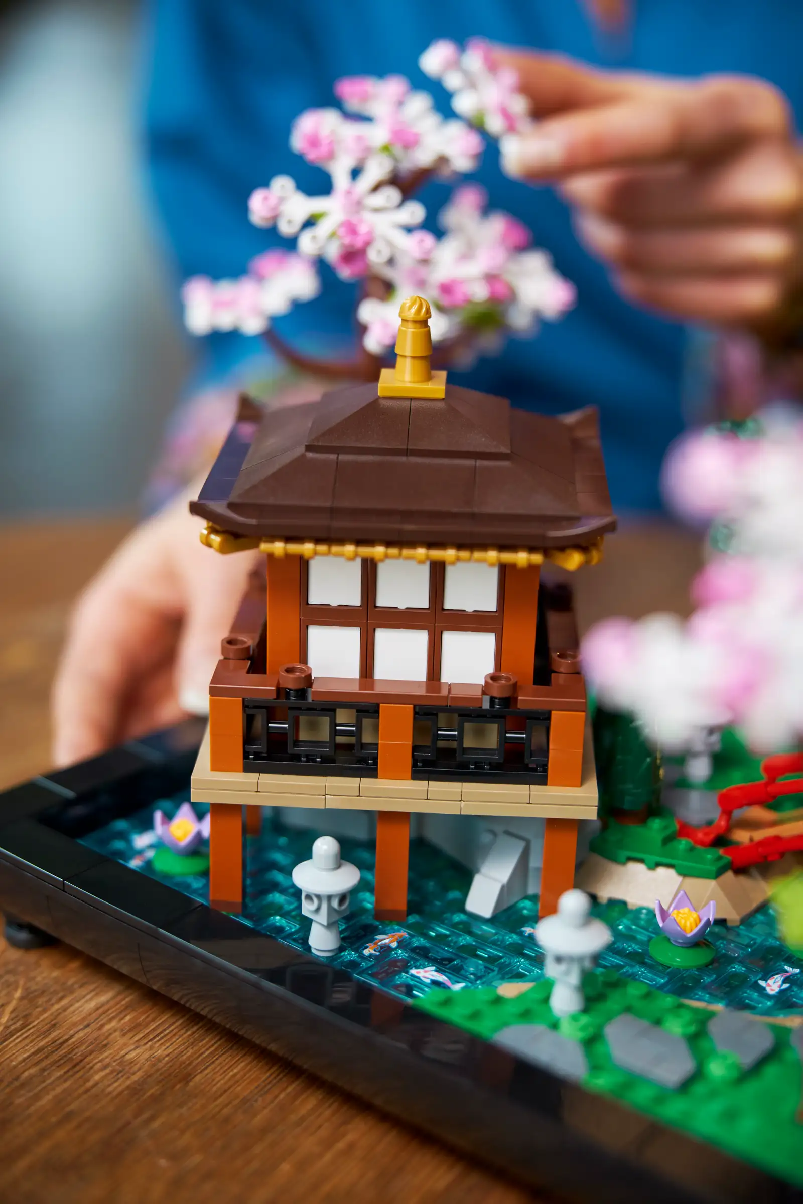LEGO Icons 10315 Tranquil Garden 5