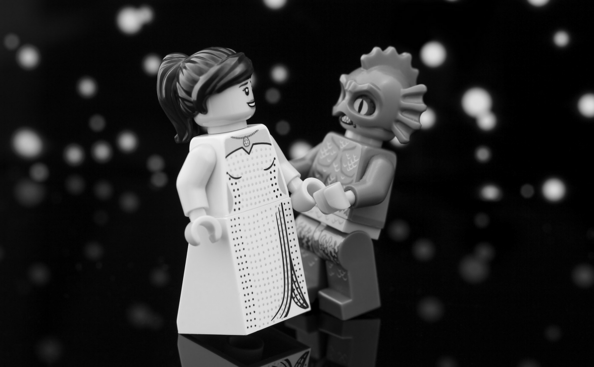 Brick Pic of the Day: The Shape of Water wins Best Picture Oscar