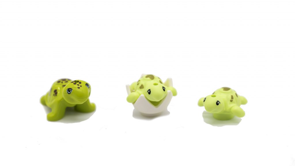 NEW NEW turtles
