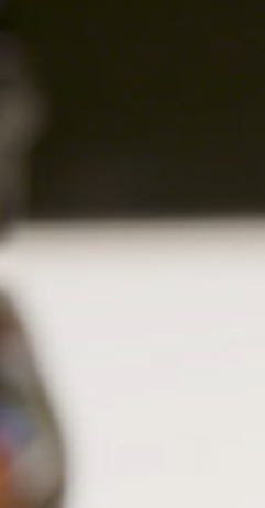 lego varl