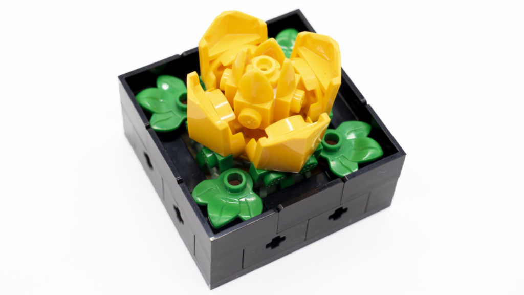 LEGO The Botanical Collection 10309 Succulents 26 1024x576