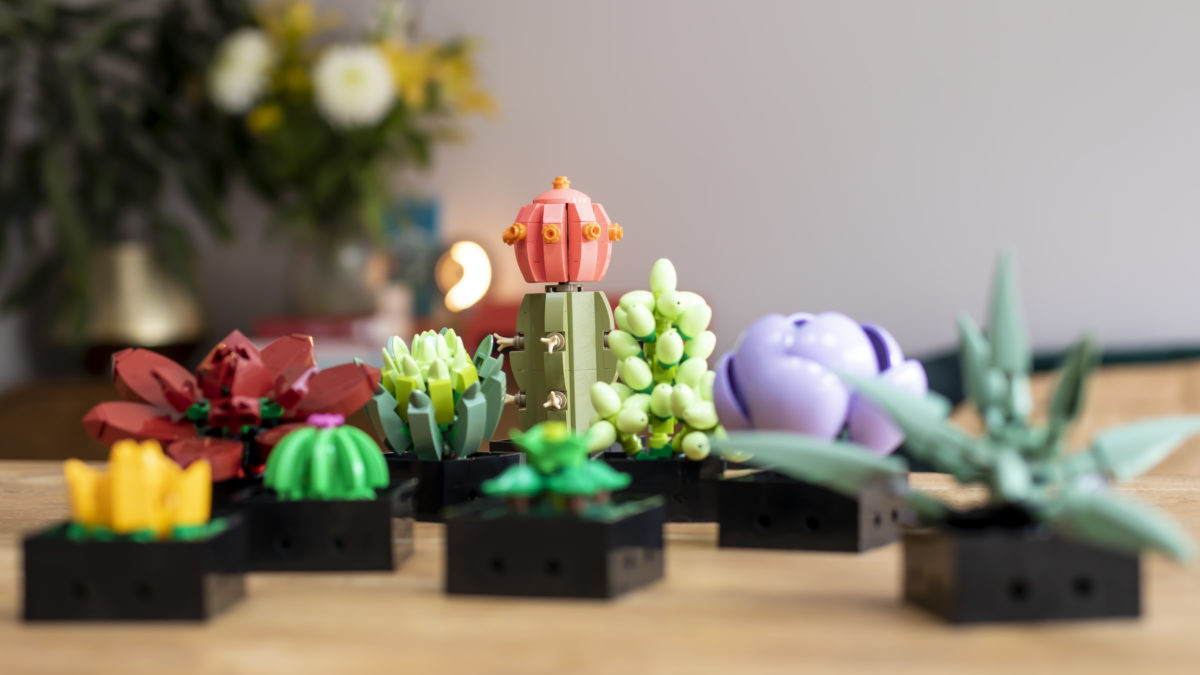 LEGO Creator Expert Botanical Collection 10309 Succulents review