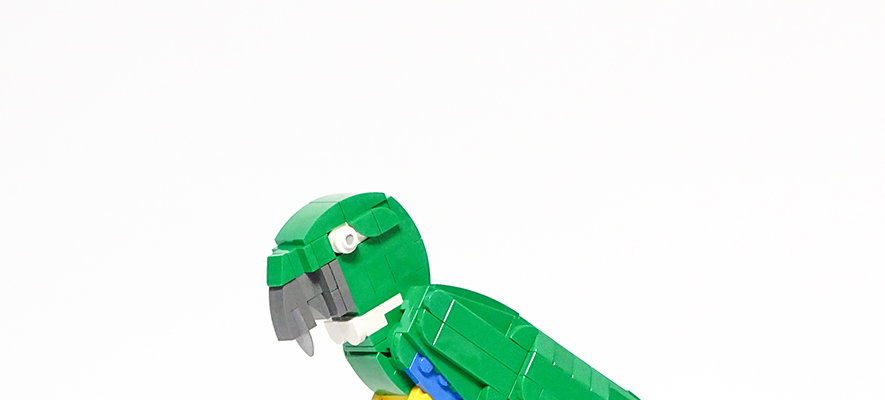 Brick Pic of the Day: Cyanoliseus patagonus