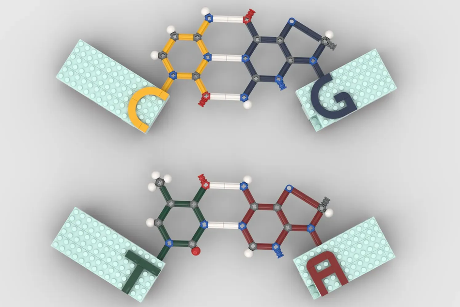 LEGO Ideas DNA 2.0 Double Helix History 7