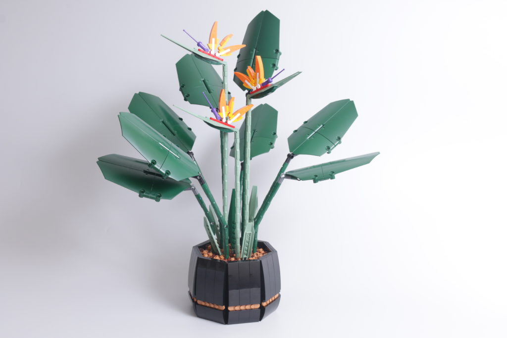 LEGO Botanical Collection 10289 Bird Of Paradise review 7