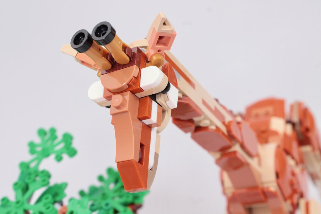 LEGO Creator 3 in 1 31150 Wild Safari Animals review 3 1024x683