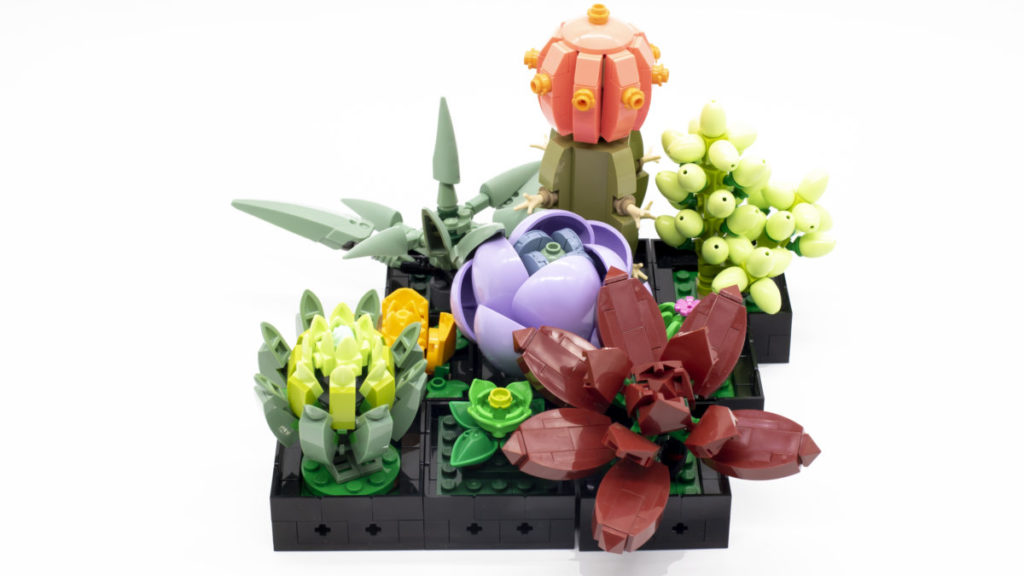 LEGO The Botanical Collection 10309 Succulents 12 1024x576