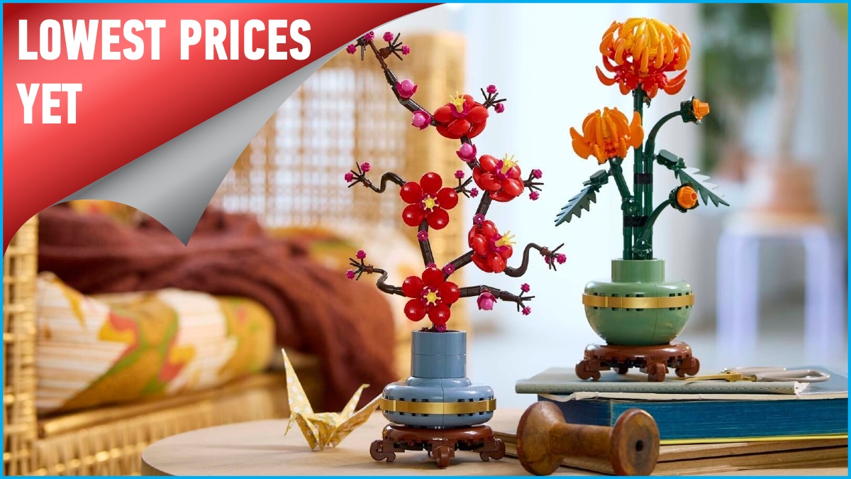 Best price yet on LEGO Botanical Collection duo