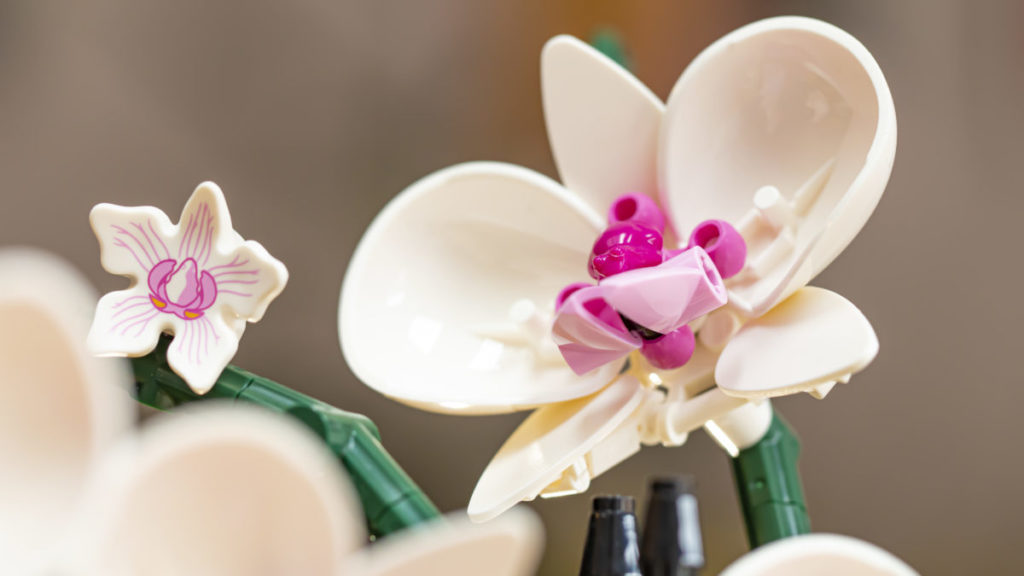 LEGO Botanical Collection 10311 Orchid 2 1024x576