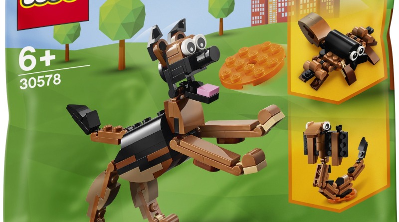 LEGO Classic, Creator and DUPLO 2021 polybags revealed