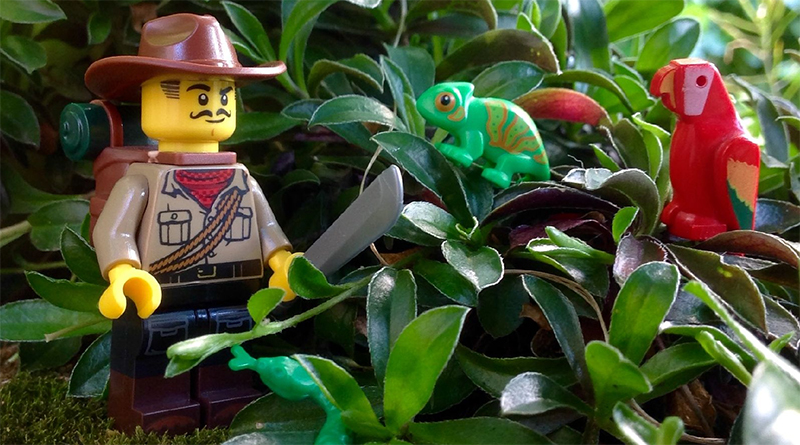 Brick Pic of the Day: Jungle exploration